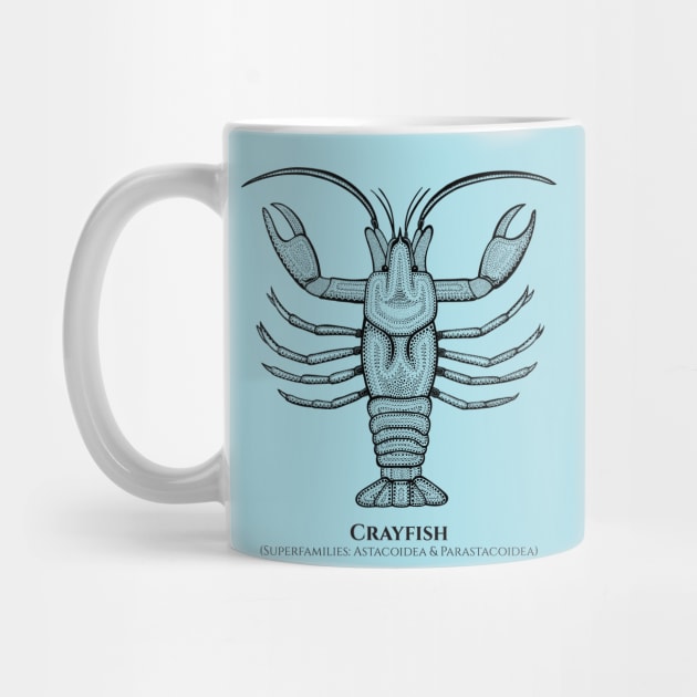 Crayfish with Common and Scientific Names - detailed animal design by Green Paladin